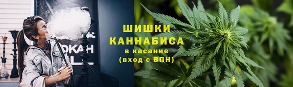 дурь Алзамай