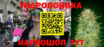 PSILOCYBIN Янаул
