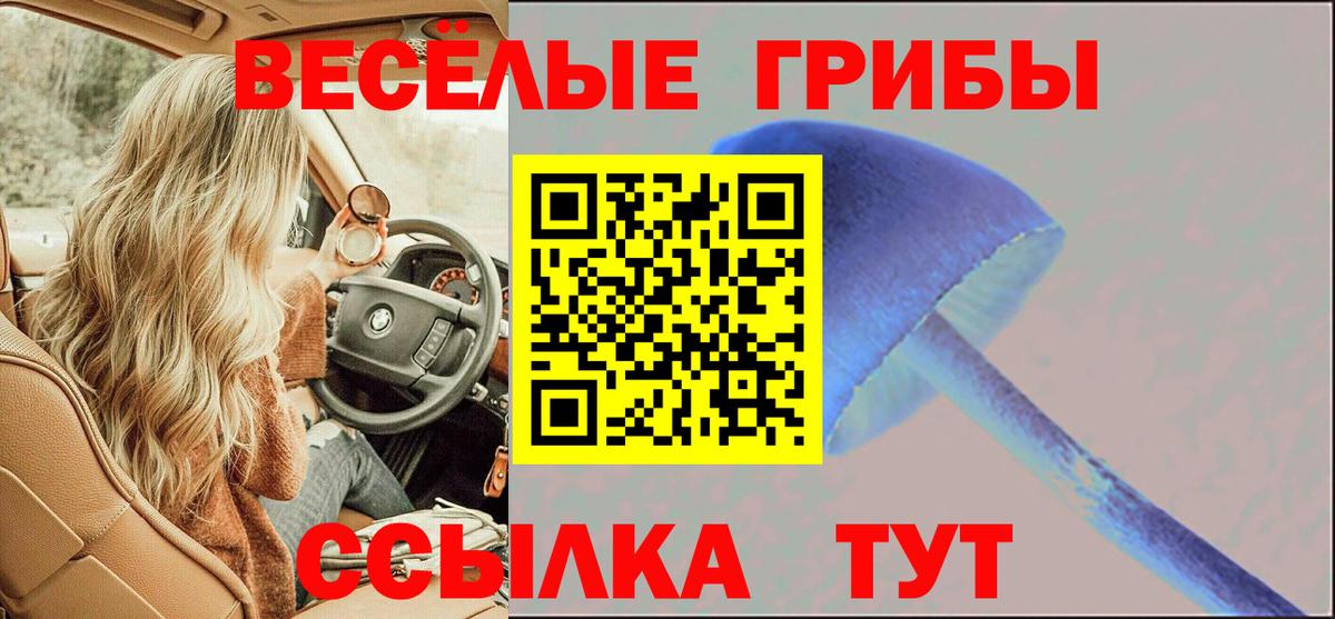 Нововоронеж  Псилоцибиновые грибы Psilocybe  Псилоцибиновые грибы мицелий  Вход с VPN 